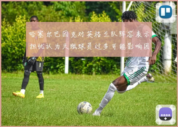 哈塞尔巴因克对英格兰队阵容表示担忧认为天赋球员过多可能影响团队合作