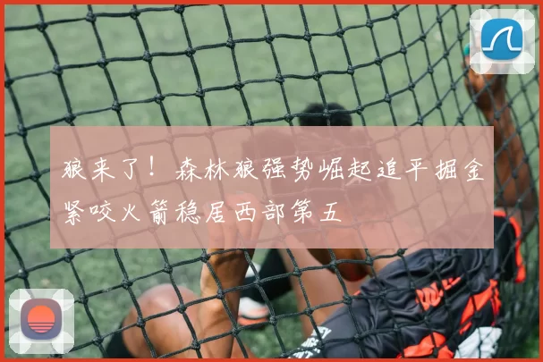 狼来了！森林狼强势崛起追平掘金紧咬火箭稳居西部第五
